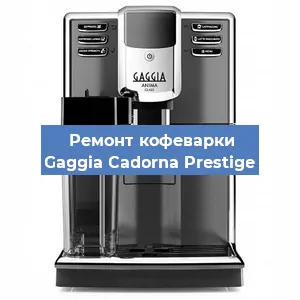 Чистка кофемашины Gaggia Cadorna Prestige от накипи в Новосибирске